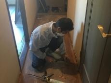 20170317funabashiisamateisekouchuu07.jpg