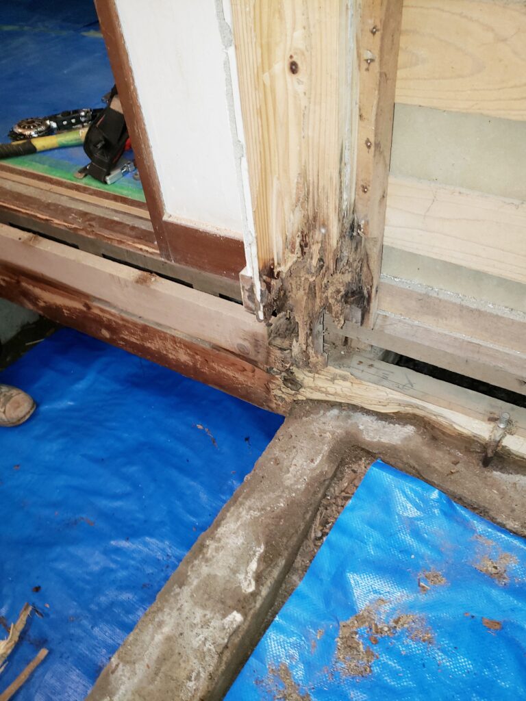 ｼﾛｱﾘ被害による腐食がみられました。