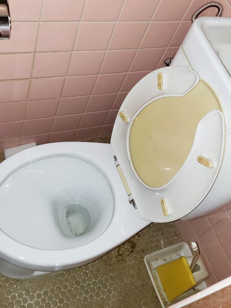 ﾀｲﾙ貼りのﾄｲﾚでした。目地部分のお手入れが大変です。