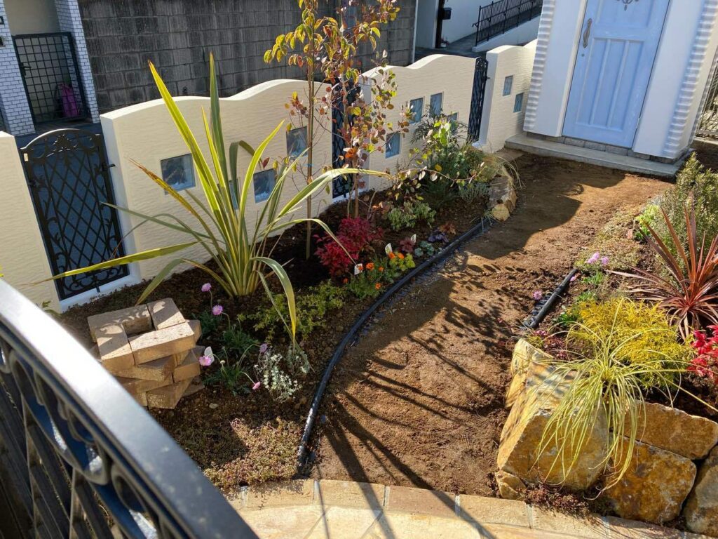花壇部分に植物を植えていきます。