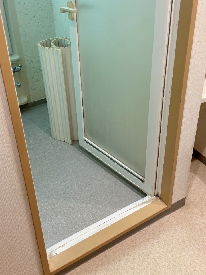 それほど大きくはありませんが、出入口に段差がありました。