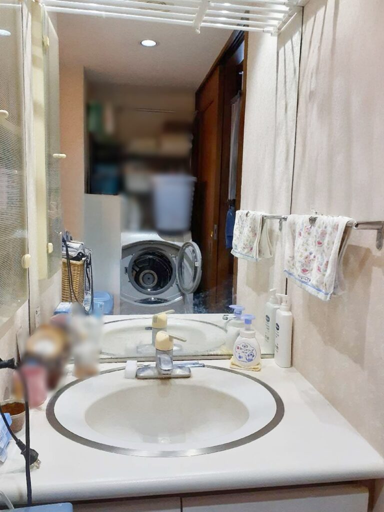 大きな一面鏡は空間が広く見えますが、収納量が少ない印象でした。