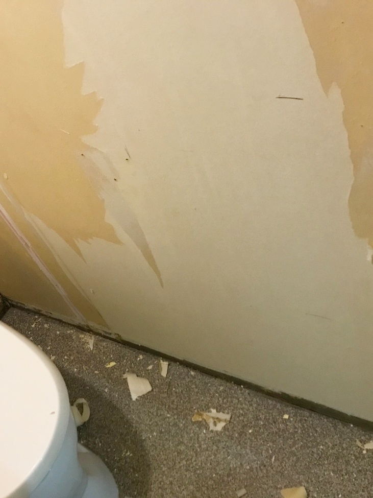 既存ｸﾛｽ剥離中。