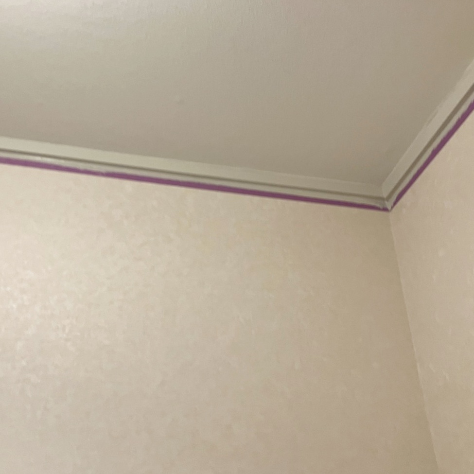 洗面所の廻り縁を塗装しました。