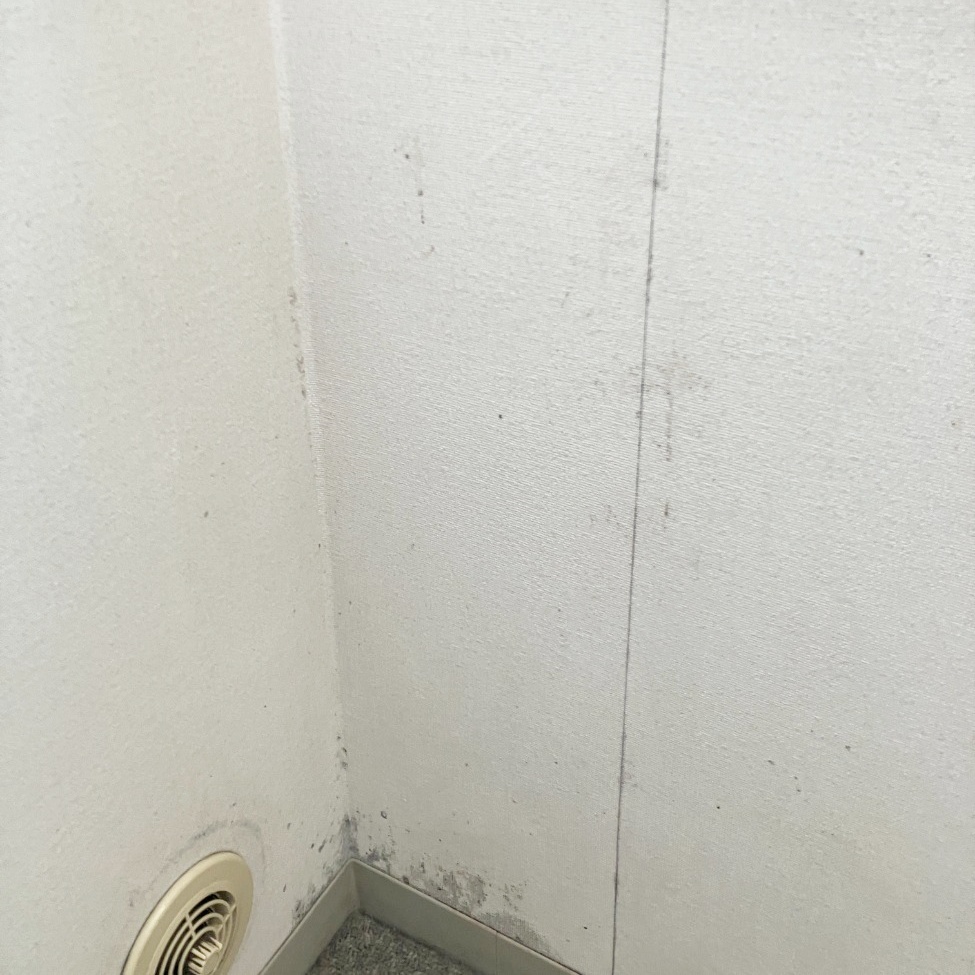 お施主様はｶﾋﾞを気にされていました。