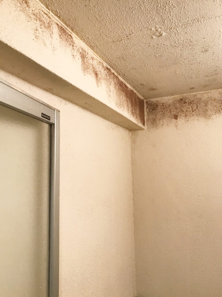 浴室壁、上部にはｶﾋﾞが発生していました。