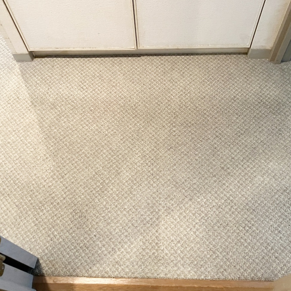 洋室②のｶｰﾍﾟｯﾄです。お手入れが大変でした。