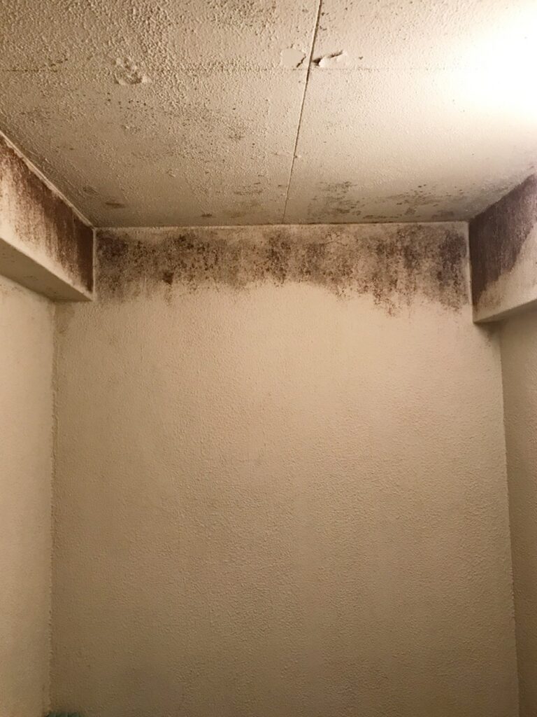 上部はお手入れがしづらいので、汚れやすいです。