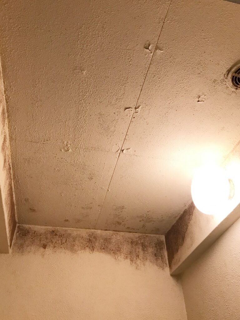 天井にも壁と同じく黒いｶﾋﾞが発生していました。