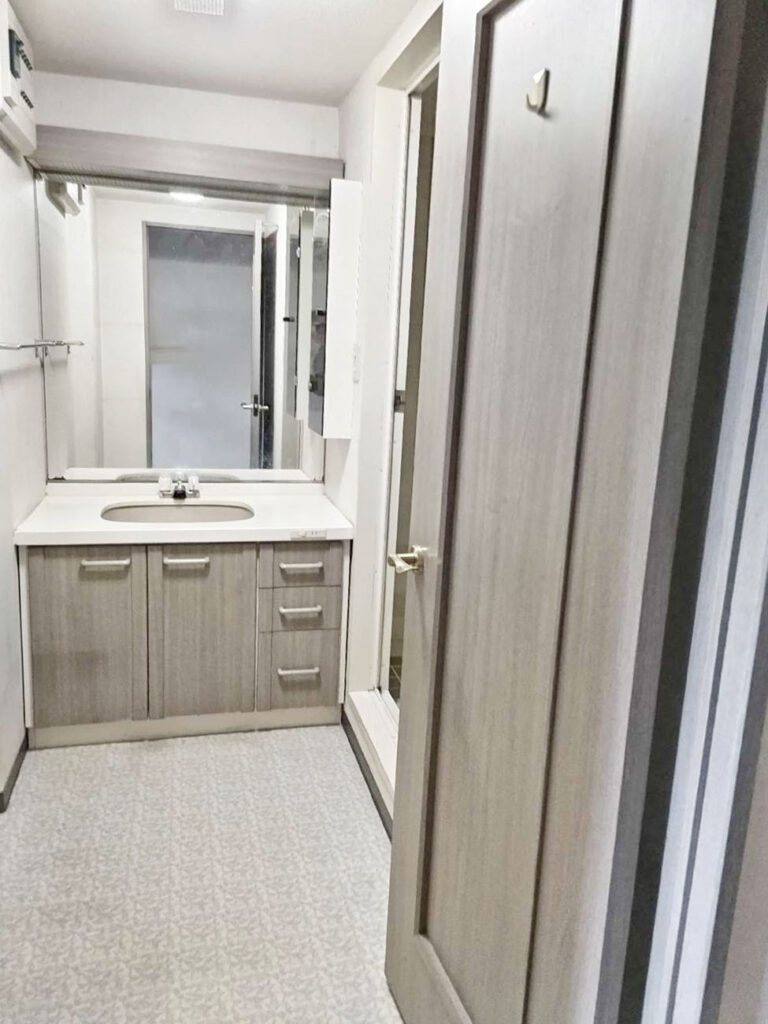 下台は開き扉で収納量は少なめな印象です。