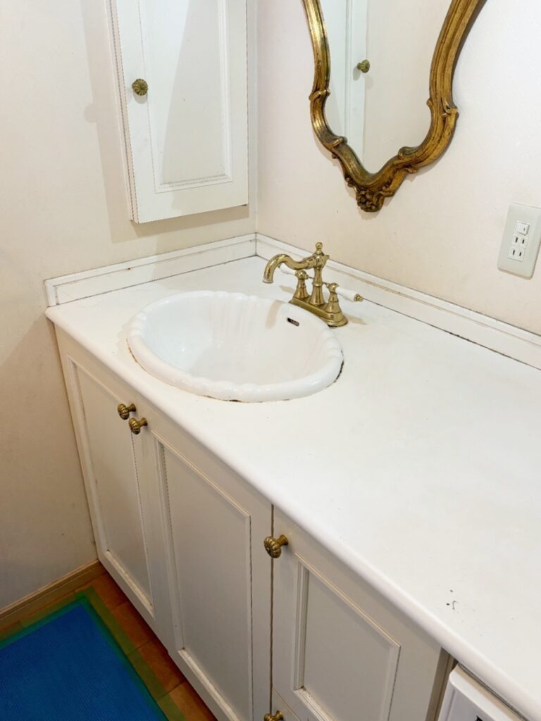 ﾎﾞｳﾙは少し小さい印象です。