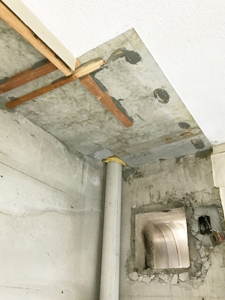 ﾚﾝｼﾞﾌｰﾄﾞ解体