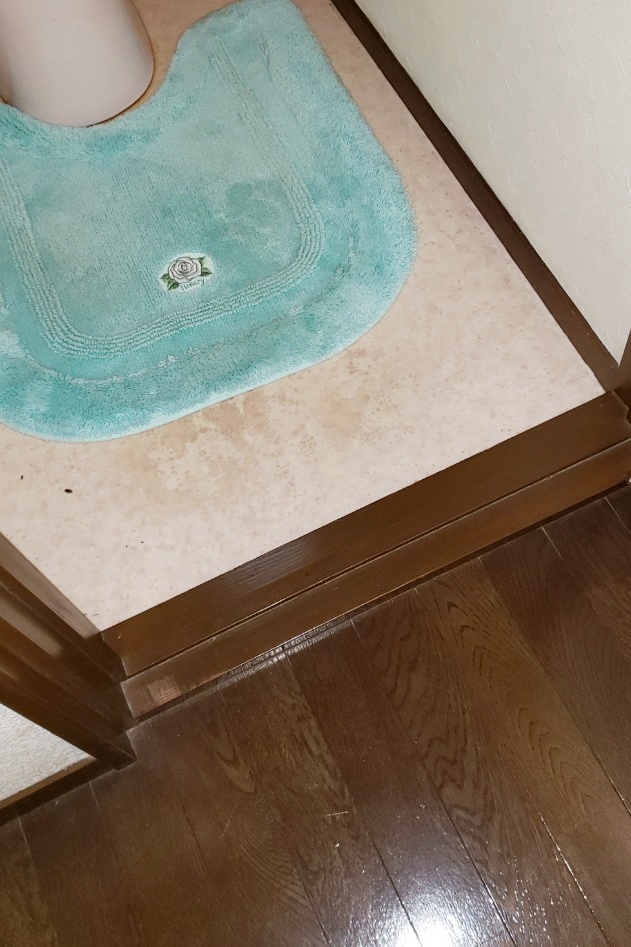 1Fﾄｲﾚと廊下の段差。