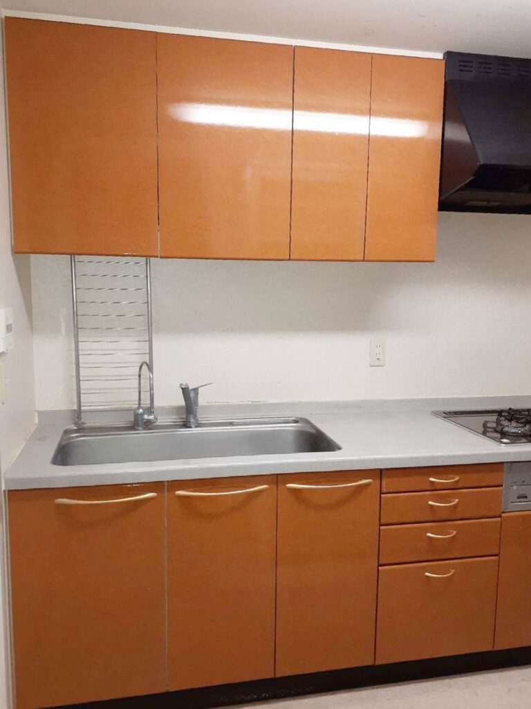 下台は開き扉ﾀｲﾌﾟ。普段よく使う調理器具などを収納しておく場所があまりありませんでした。