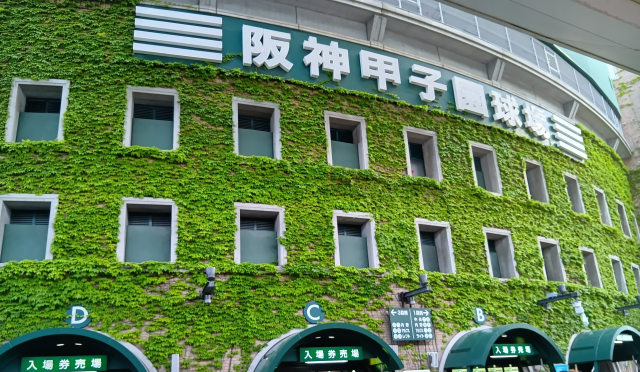 【津田沼店】夏のご挨拶と夏期休業のお知らせ