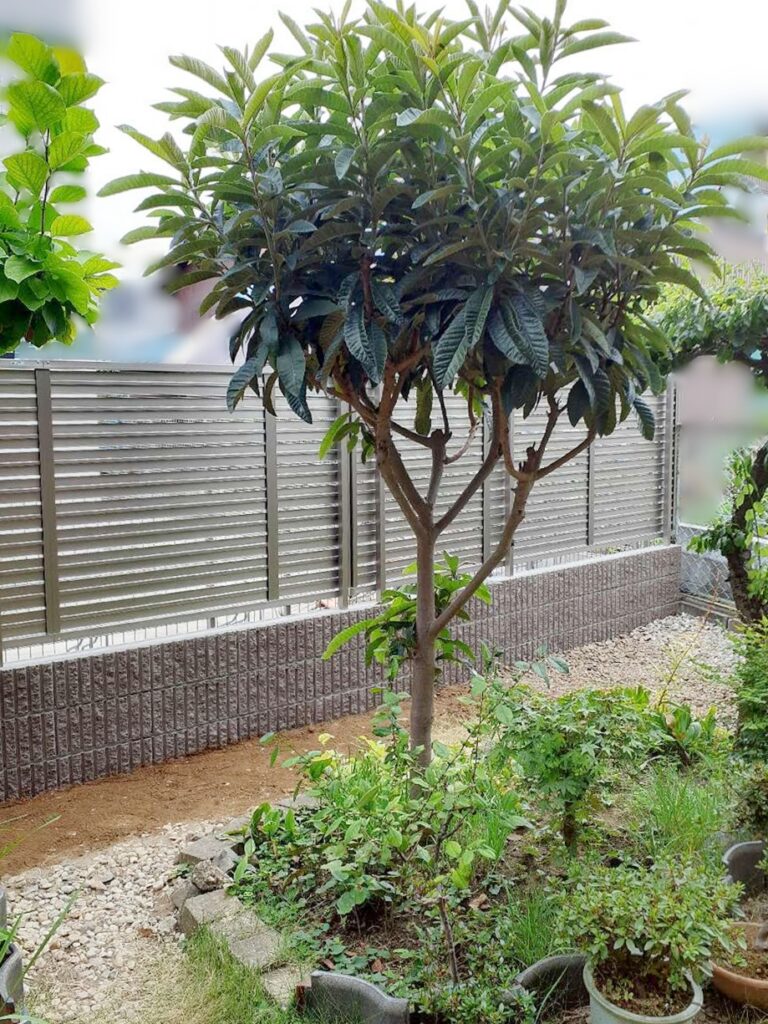 船橋市　戸建　N様邸　フェンス取替リフォーム